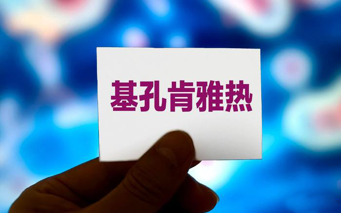 未“蚊”绸缪！朗基PCR仪助力精准检测基孔肯雅热