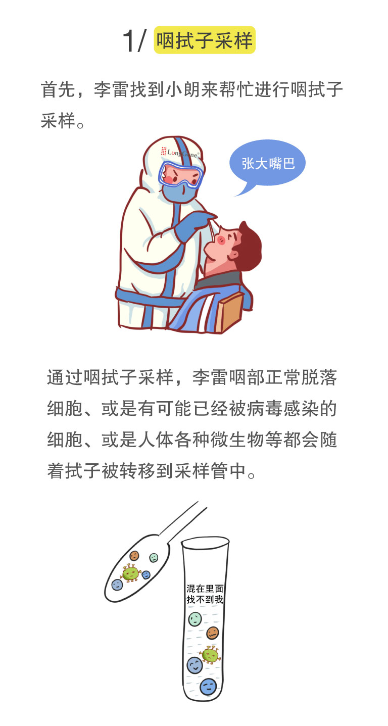 核酸檢測(cè)流程-2