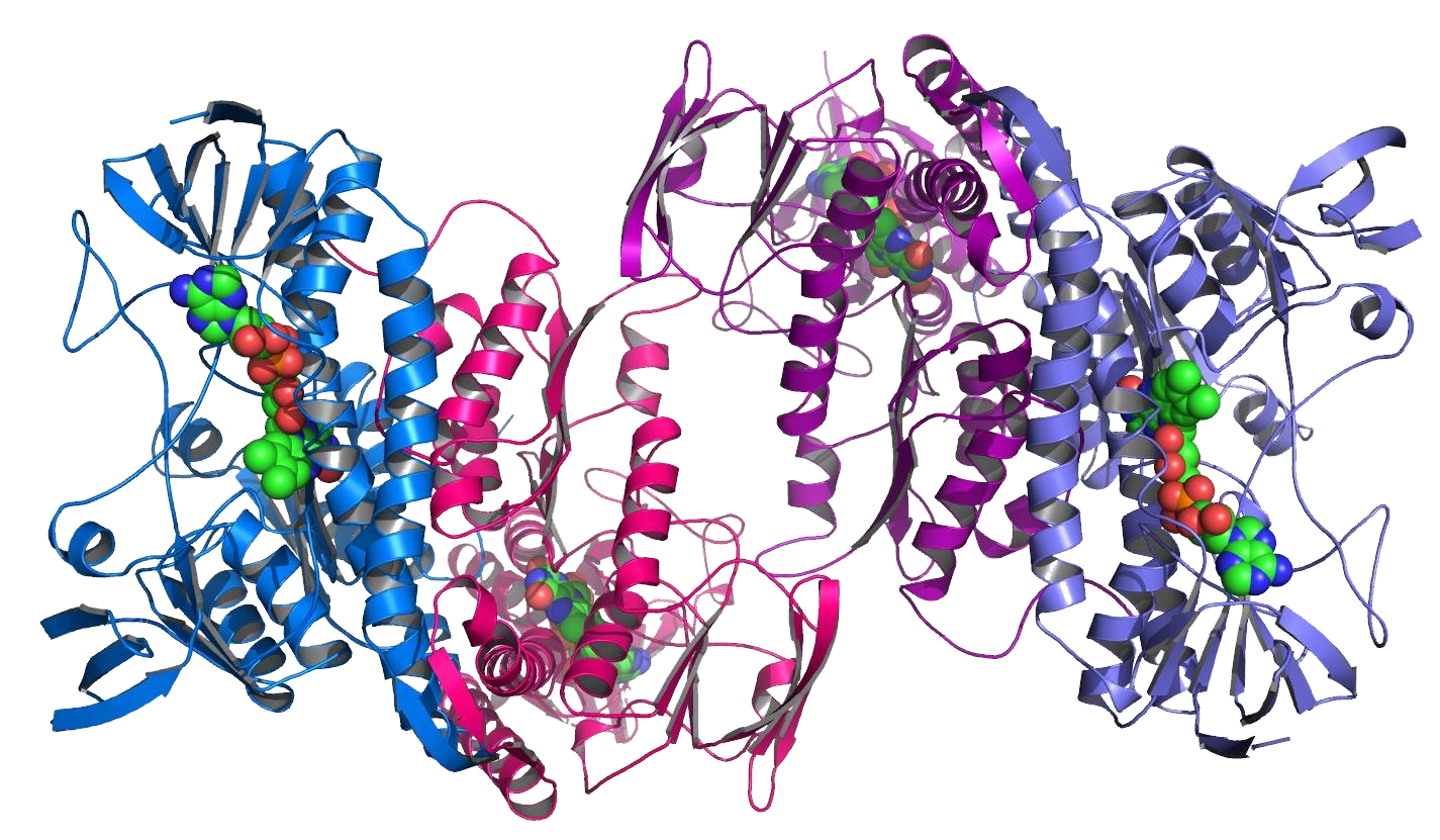 e1eaf147ace755451115a92f53931457