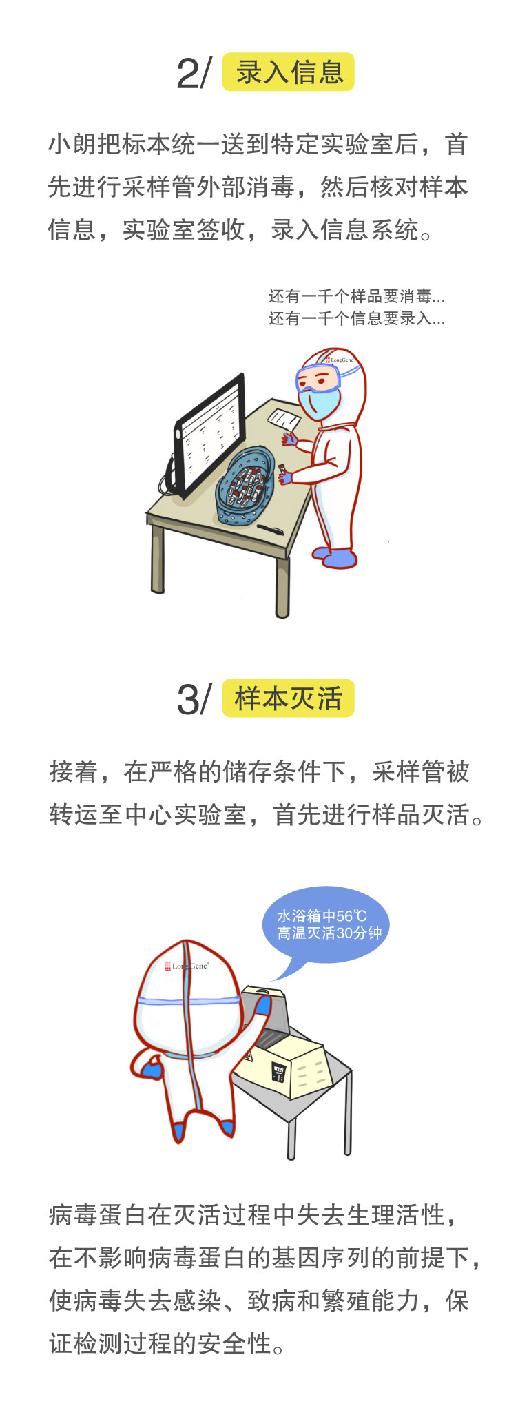 核酸檢測(cè)流程-3