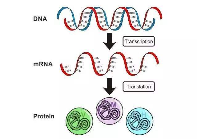 v2-640362cb393f75305cf6a65d40077d5d_1440w