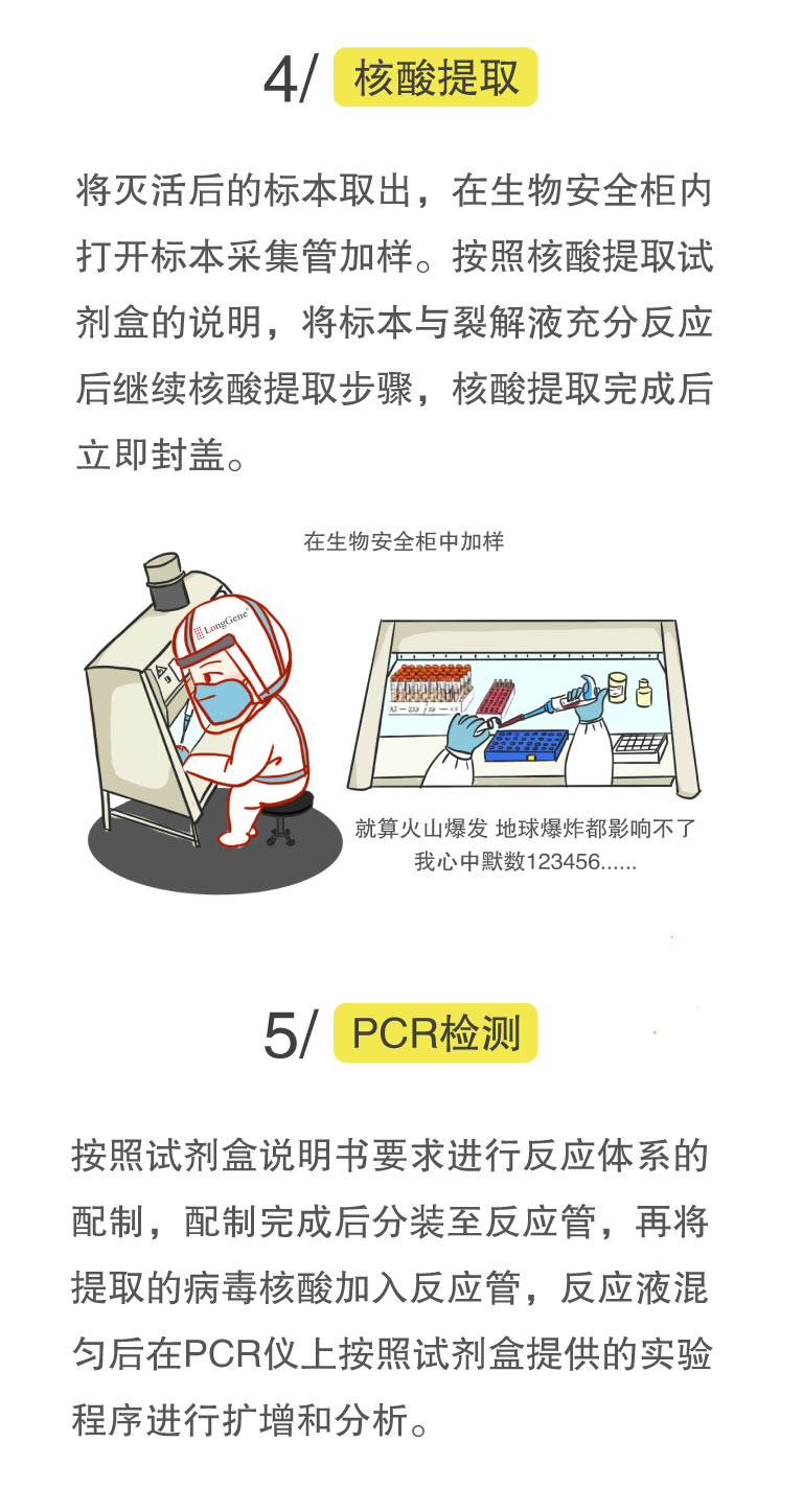 核酸檢測(cè)流程-4