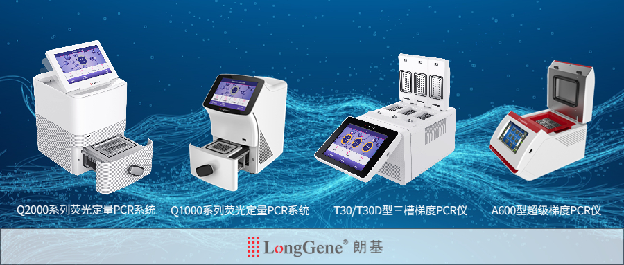 輕透幾何風大字通知微信公眾號首圖 (5)