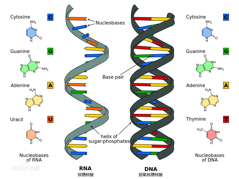 5882b2b7d0a20cf4e2645b0978094b36adaf9974