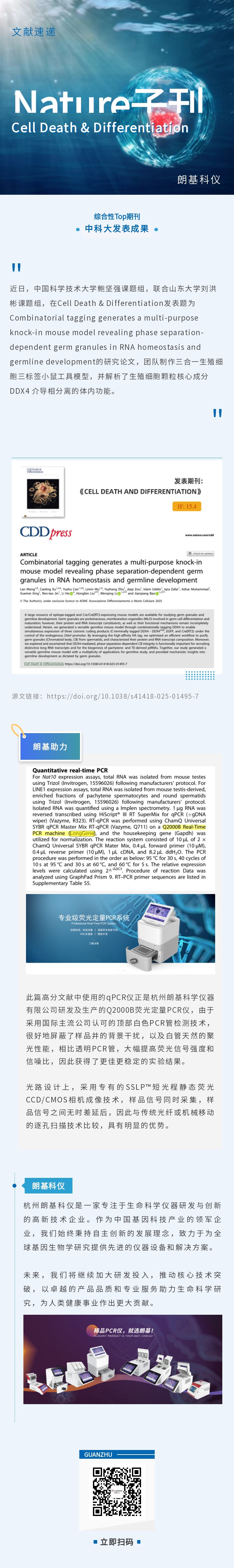 135editor_07171618_6878b1d8e3a7620250717161832