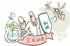 非瘟未去，伊蚊又來